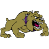 New Haven Bulldogs