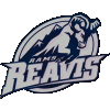 Reavis High School