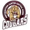 Northeastern Clinton Central School District