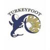 Turkeyfoot Valley High School