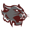 Mount Vernon Wildcats