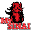 Mount Sinai High School