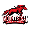 Mount Sinai High School